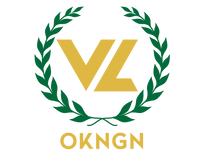 VYBE LYFE - OKNGN Vybe Lyfe Inc